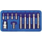 Screwdriver bit set c.v. 66770