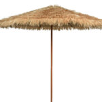 Beach umbrella