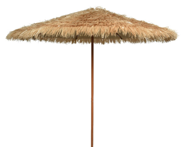 Beach umbrella