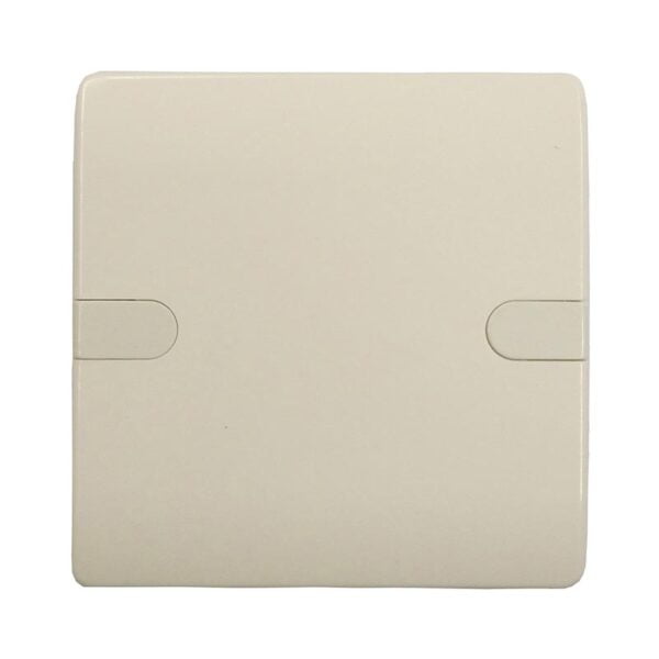 Blank Plate Single B1