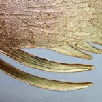 Gold Fish White Background Painting - Image 6