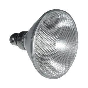 Reflector Lamp PAR 38 80W