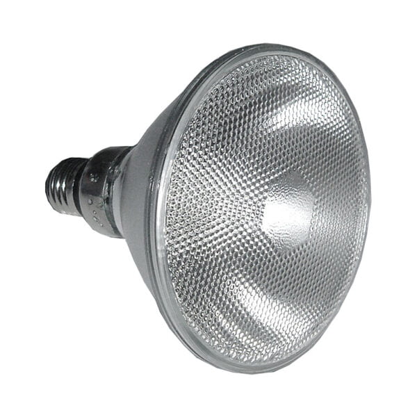 Reflector Lamp PAR 38 80W